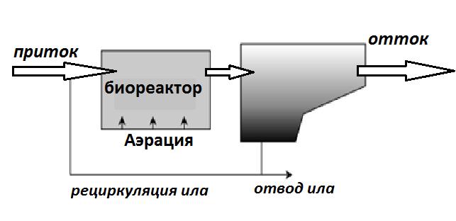 био реактов.png